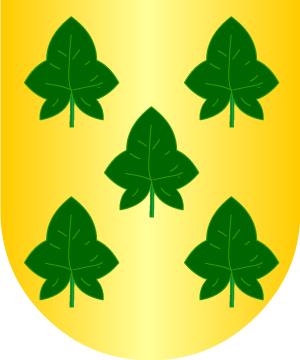 ESCUDO SIGUIENTE